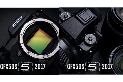 攝影設備全攻略 從單反到專業攝影器材的選擇與使用