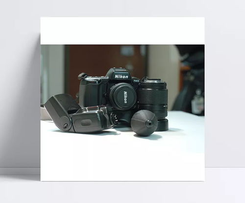 從記錄到創造 尼康單反如何為“日常”注入不凡